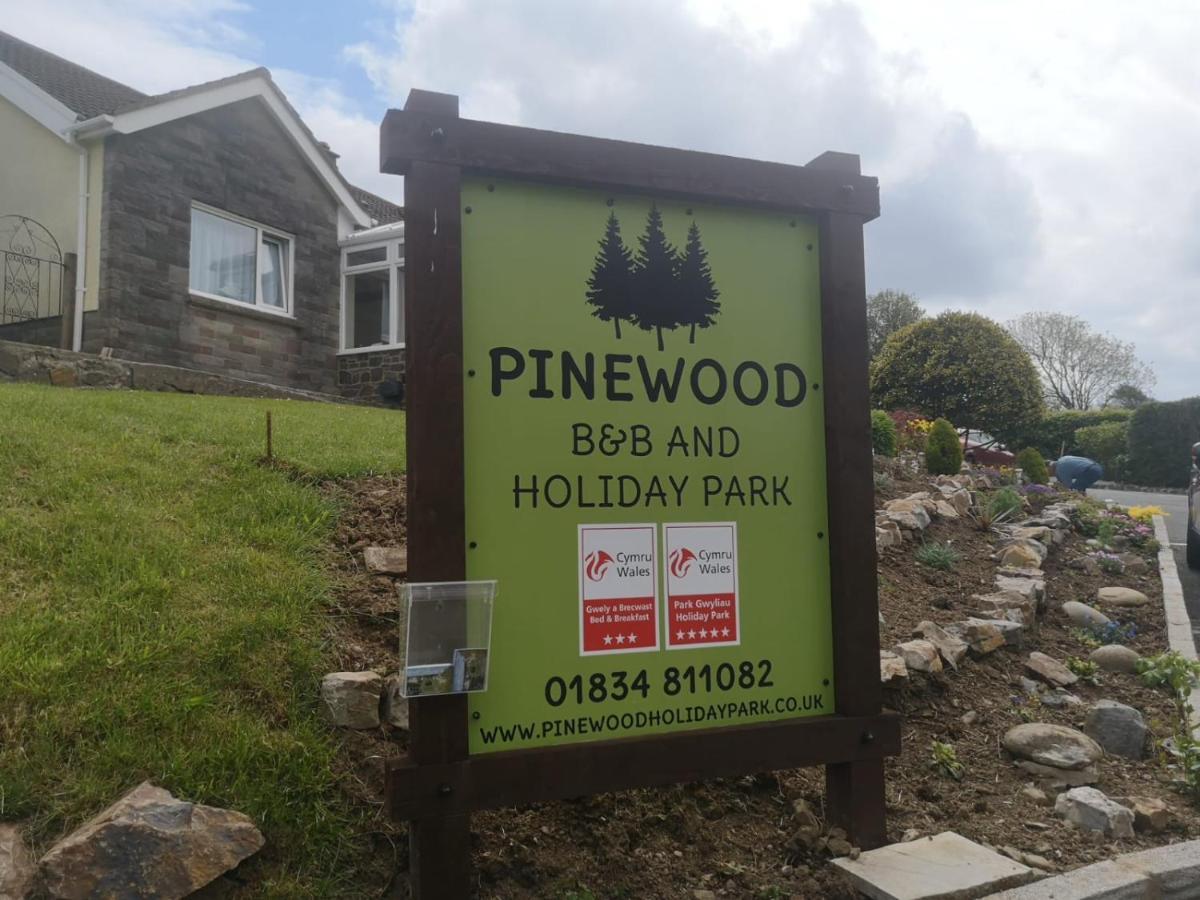 Pinewood B&B Saundersfoot Bagian luar foto